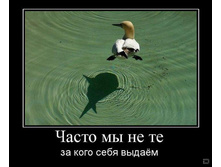 02.02.2010 5:37:46