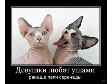 02.02.2010 5:38:33
