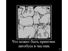 02.02.2010 5:38:36