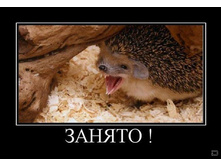 02.02.2010 5:38:54
