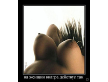 02.02.2010 5:39:33