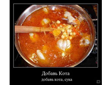 02.02.2010 5:39:48