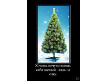 02.02.2010 5:40:22