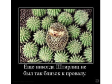 02.02.2010 5:41:08