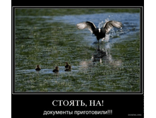 02.02.2010 5:47:08