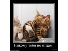 02.02.2010 5:47:39