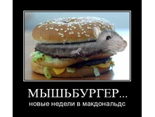 02.02.2010 5:48:01