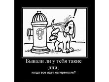 02.02.2010 5:49:04