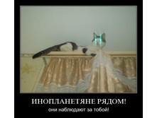 02.02.2010 5:49:09