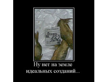 02.02.2010 5:49:12