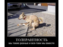 02.02.2010 5:49:32