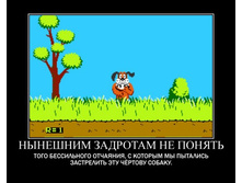 02.02.2010 5:49:38