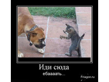 02.02.2010 5:49:56