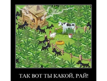 02.02.2010 5:51:31