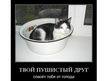 02.02.2010 5:51:43