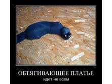 02.02.2010 5:51:53