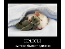 02.02.2010 5:52:05
