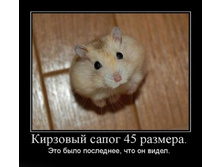 02.02.2010 5:52:39