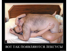 ���� ����, ����� �����: