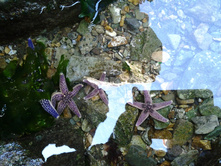 20121021_150759.jpg