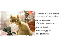 26.03.2013 15:42:55