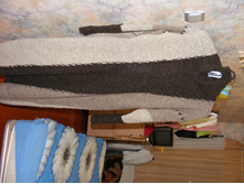 DSCF3106.jpg