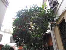 DSCN0402.JPG