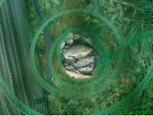 03.02.2010 14:38:57