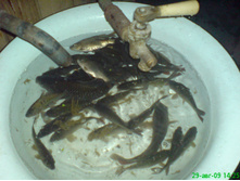 03.02.2010 14:39:00