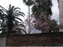 DSCN3073.JPG
