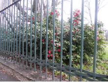 DSCN3210.JPG