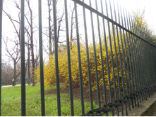 DSCN3211.JPG
