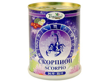 08skorpion_kaktusy.jpg