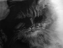 04.02.2010 16:01:21
