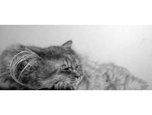 04.02.2010 16:01:28