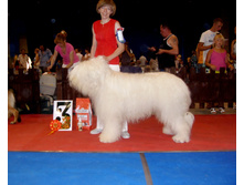 SDC17752.JPG