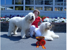 SDC17758.JPG