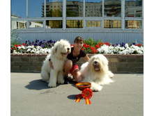 SDC17763.JPG