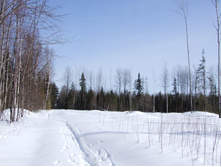 DSCF1641.JPG
