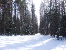 DSCF1646.JPG