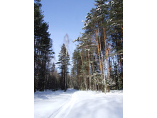 DSCF1649.JPG