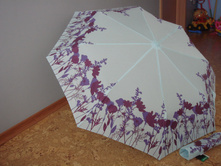 L 346 (81428 WildflowerBorder).jpg
