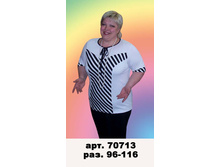 70713(510-00).jpg