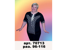 70713,(510-00).jpg