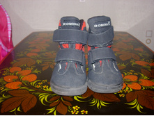 DSCN2980.JPG