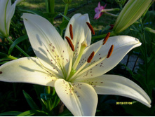 S73R2205.JPG