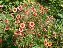 S73R2026.JPG