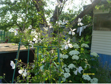 S73R2091.JPG