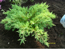 S73R2110.JPG