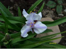 S73R2191.JPG